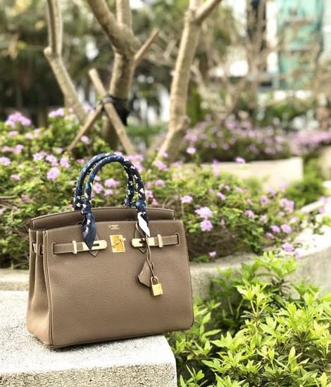 hermes birkin 25 etoupe