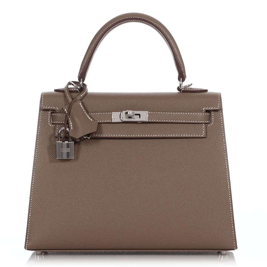 Let's Talk About Hermès Chèvre Leather, Are You a Fan? - PurseBop