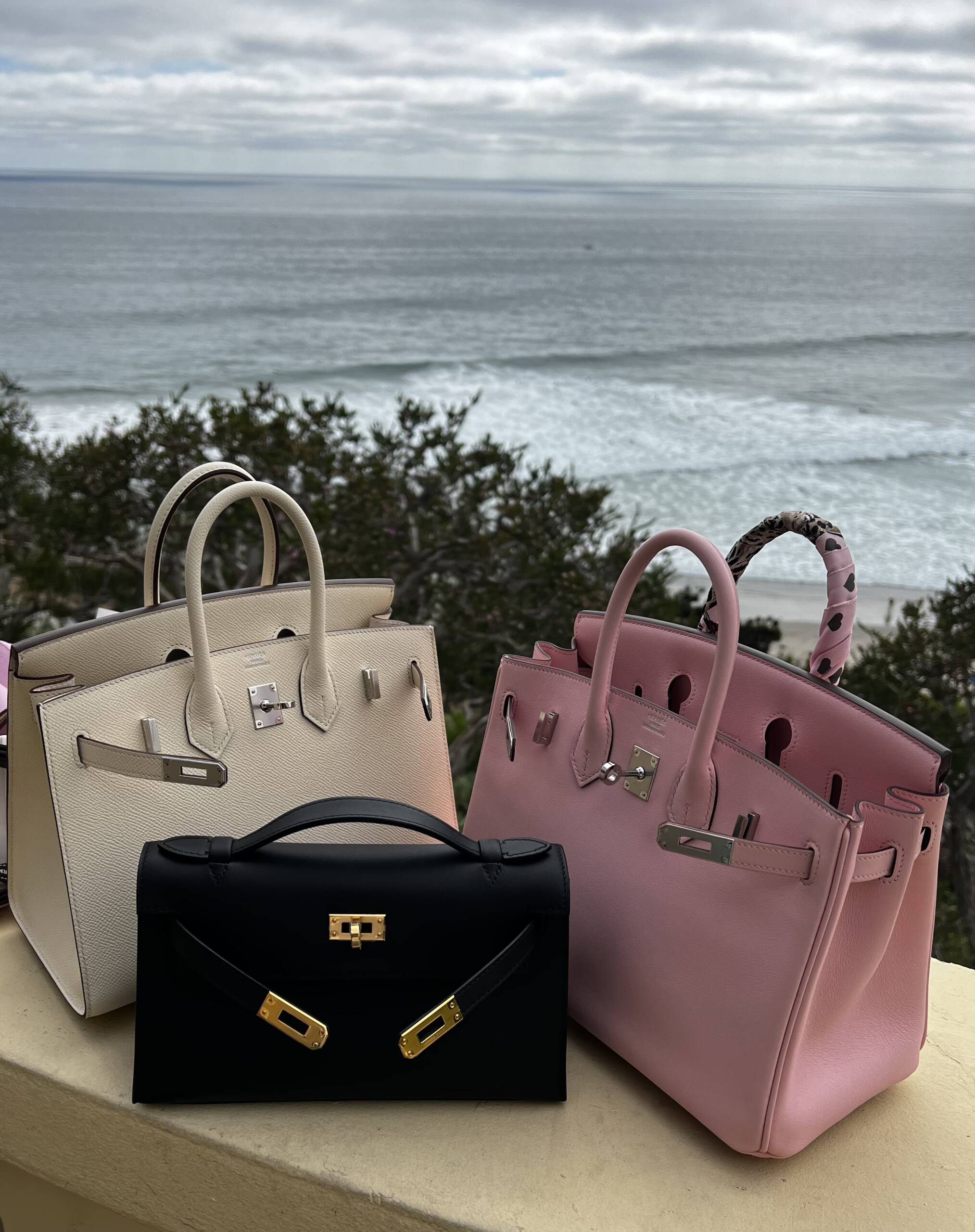 Birkins for Her, Birkins for Him? - PurseBop