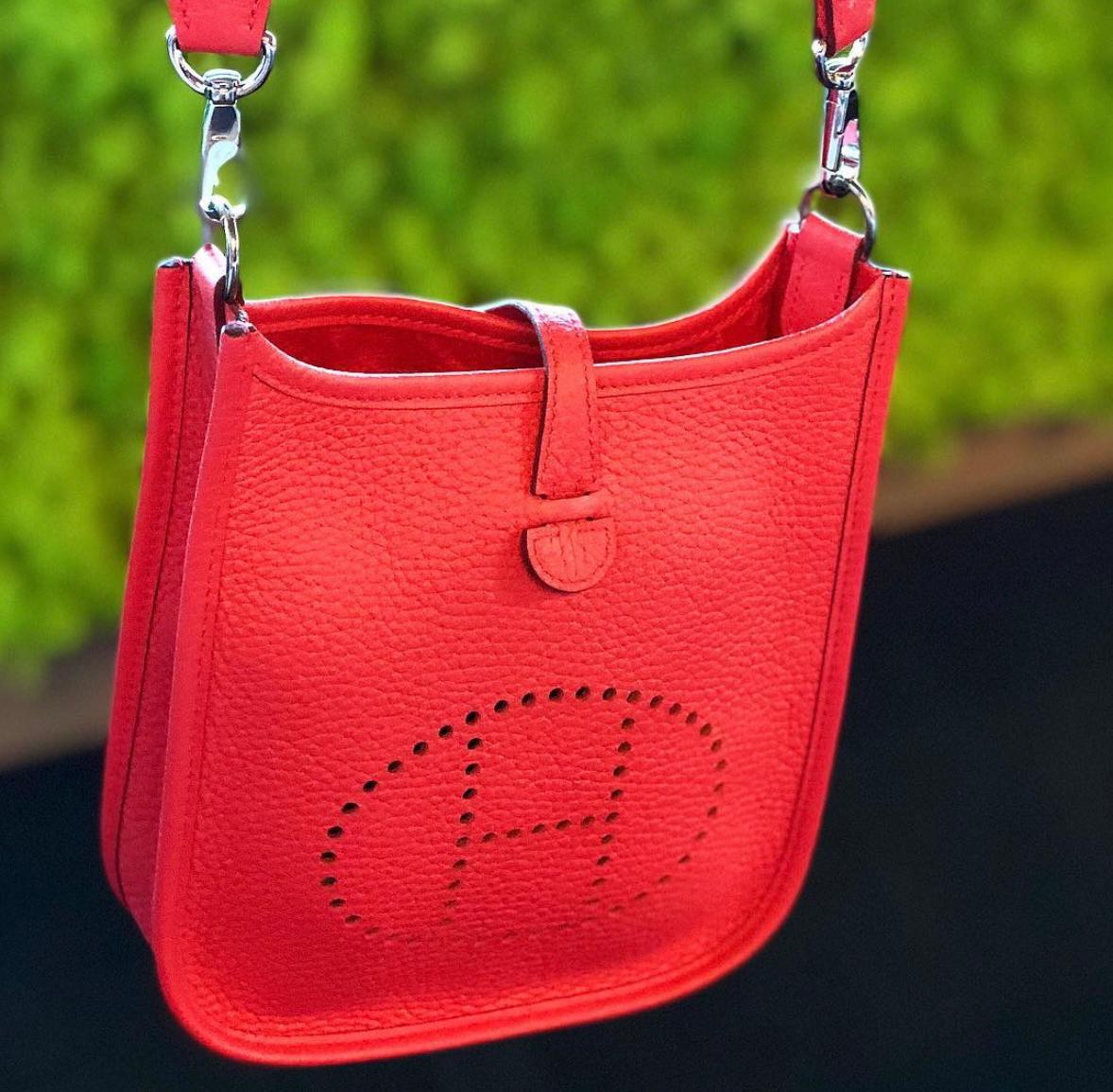 Would You Buy a Vegan Birkin? - PurseBop