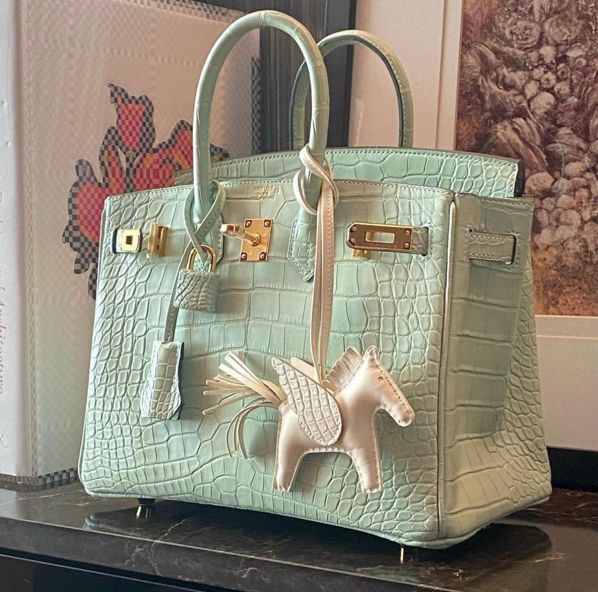 Would You Buy a Vegan Birkin? - PurseBop