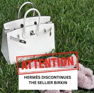 Update: The New Hermès Cargo Birkin in 25cm - PurseBop