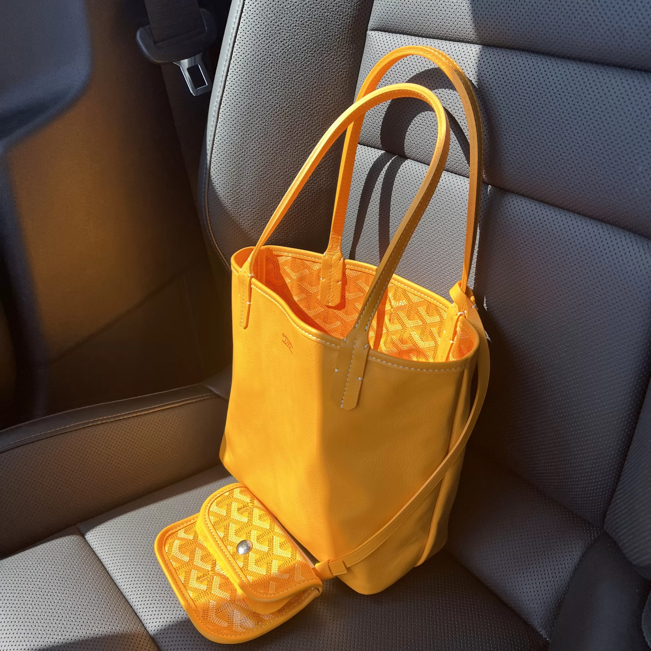 Goyard Saint Louis Tote Reference Guide, Sizes, Prices - PurseBop