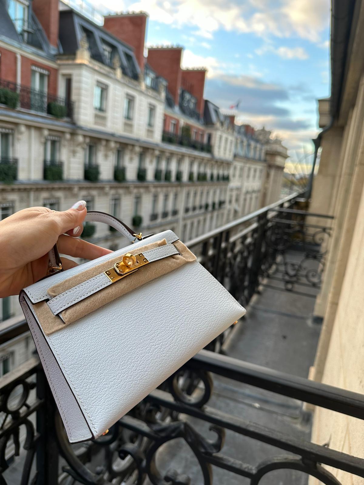 Part II: The Hermès Reveal - the Mini Mushroom that Made Its Way Home From  Paris - PurseBop