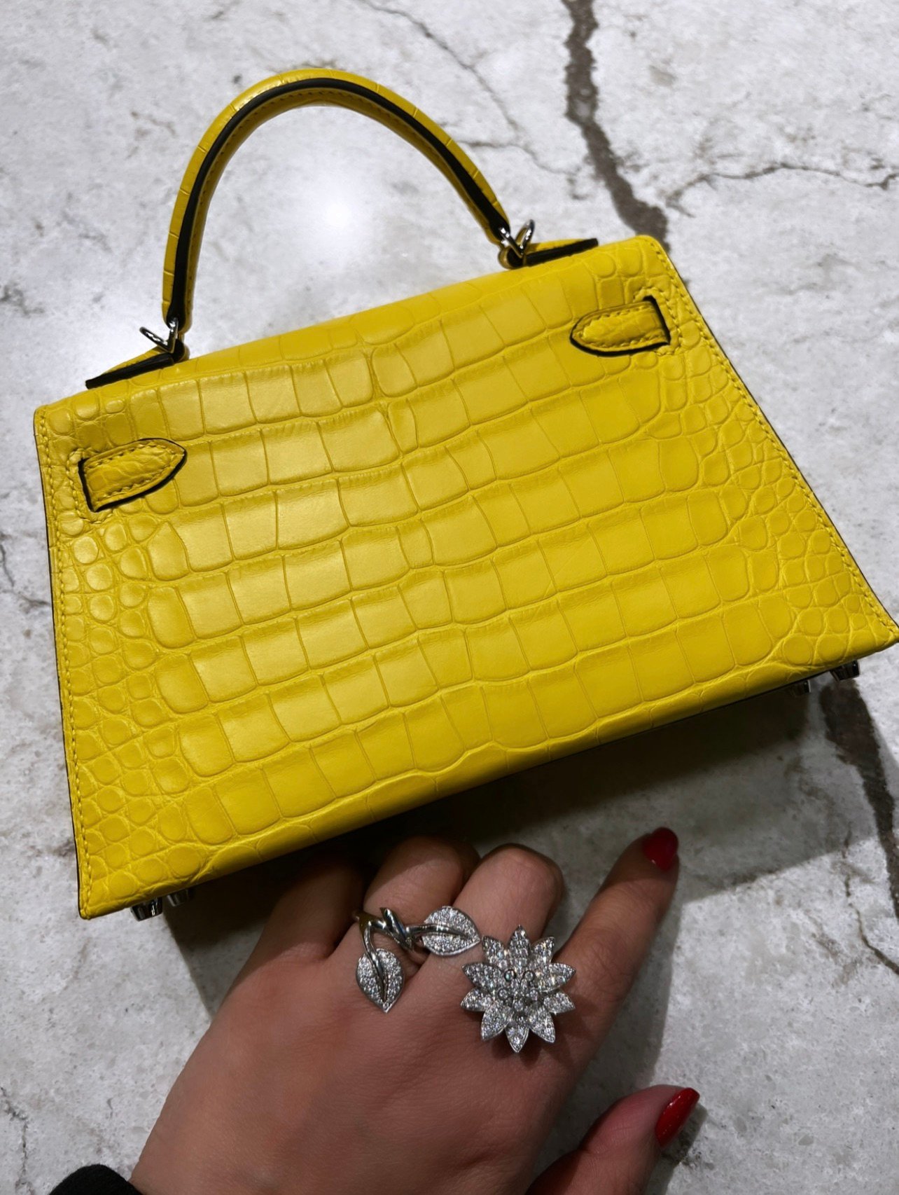 Part II: Hermès Reveal: My First Exotic Mini Kelly - PurseBop