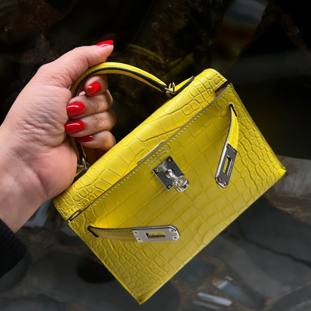 OMG, Move Over Mini Kelly, the Birkin 20 is Here - PurseBop