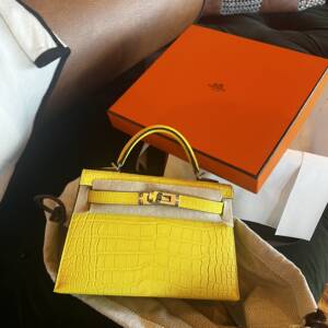 hermes reveal | mini kelly hermes | mimosa gator matte | Hermès Madison 706 | Hermès Kelly 20 |