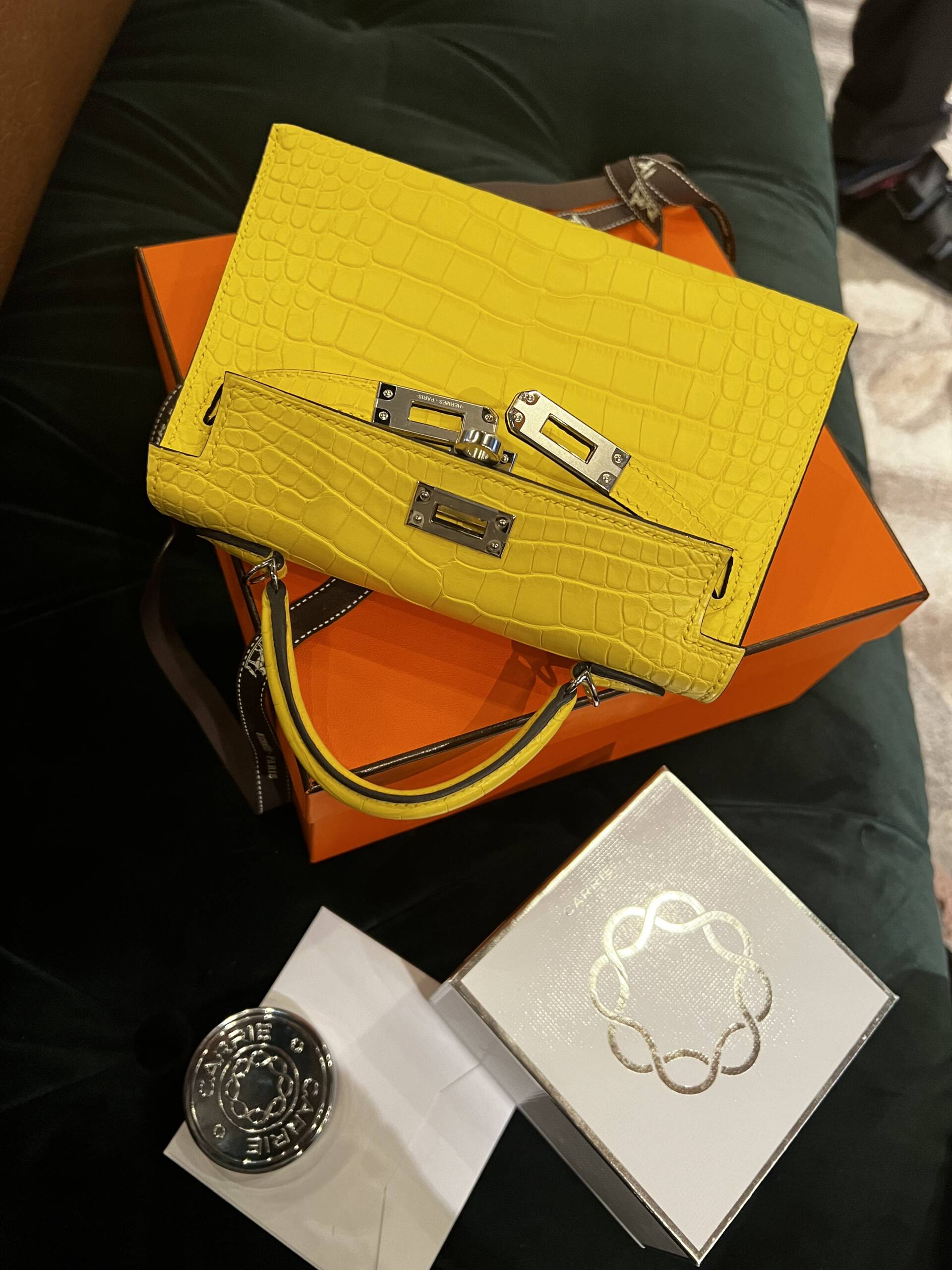 OMG, Move Over Mini Kelly, the Birkin 20 is Here - PurseBop