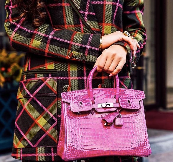 Would You Buy a Vegan Birkin? - PurseBop