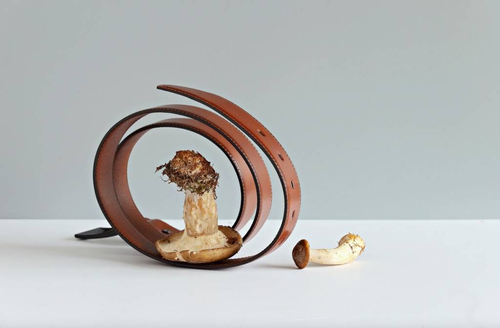 Would You Buy a "Vegan Birkin"? PurseBop