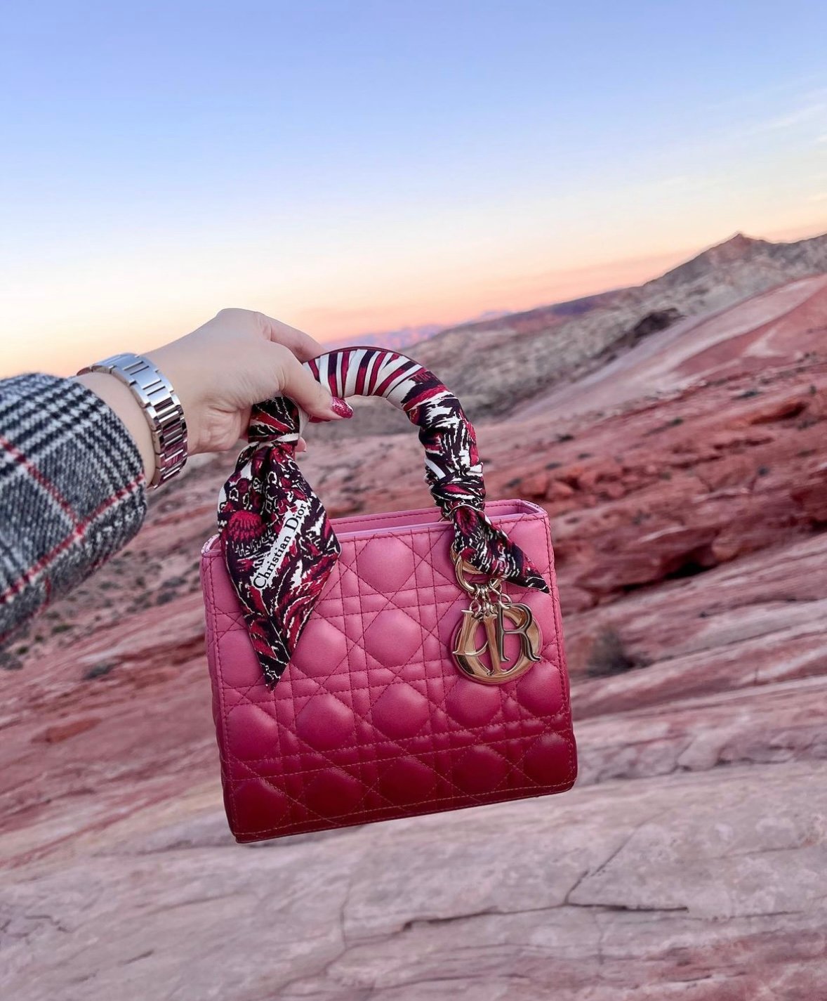 Lady Dior Bag | Dior price increase 2023