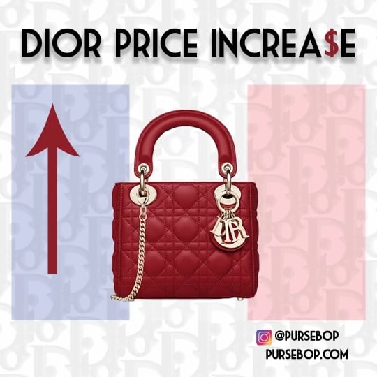 Two New Dior Bags for Fall/Winter 2023 - PurseBop