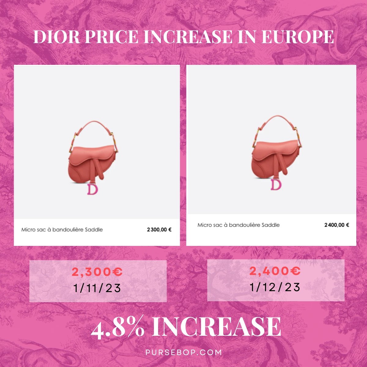Dior micro saddle bag | Dior price increase 2023 europe