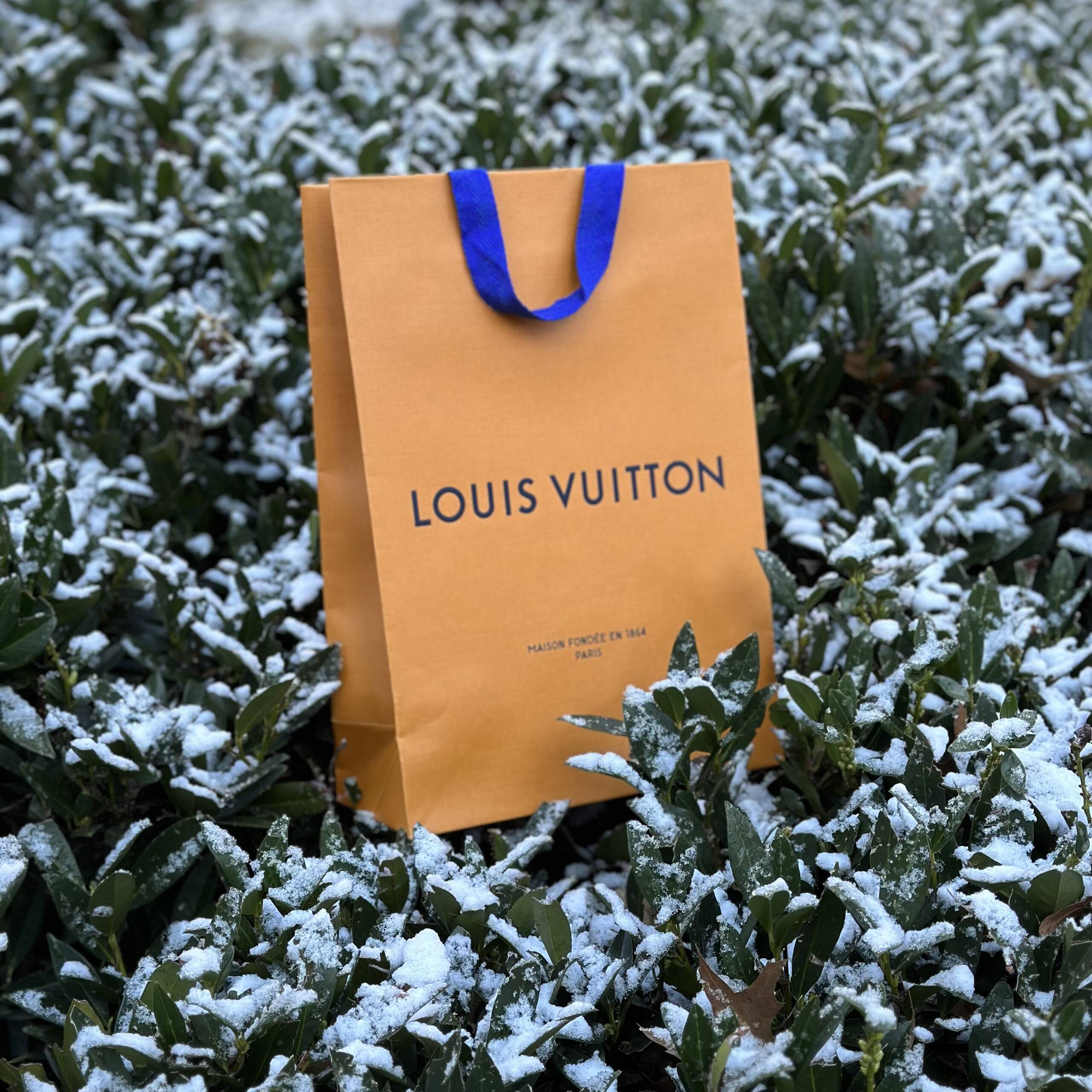 Louis Vuitton Tops the List of Most Valuable Luxury Brands - PurseBop