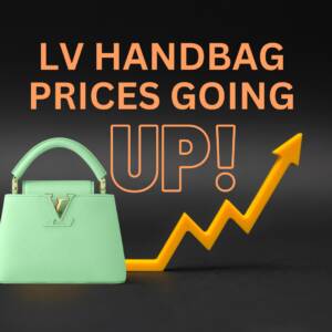 All About the Re-released LV GO-14 - PurseBop