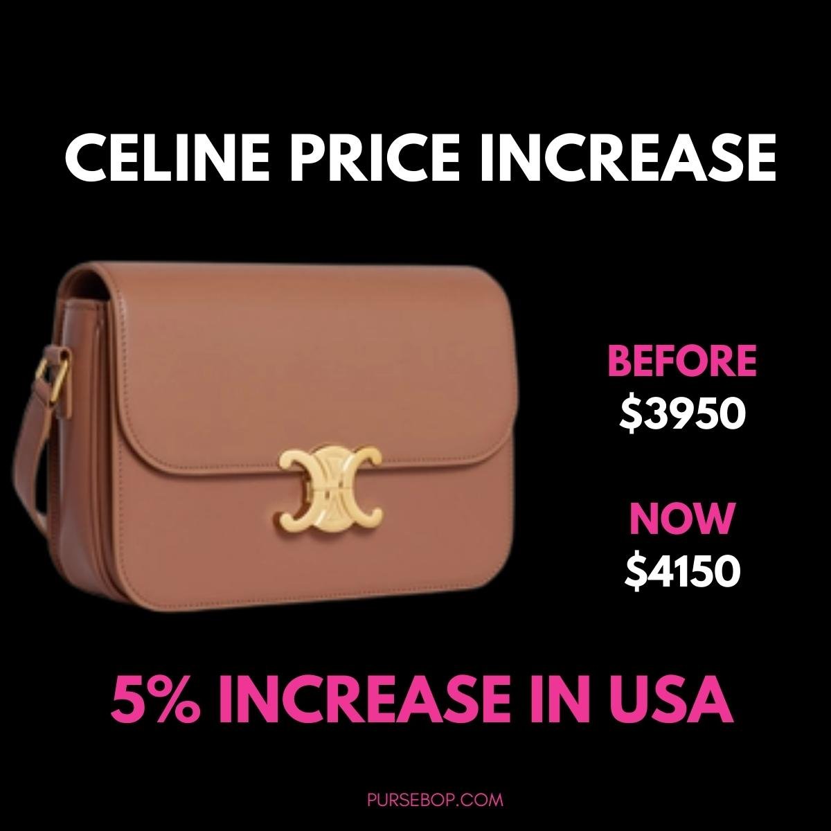 Celine's New Ava Triomphe Bag Is Already a Celeb Favourite