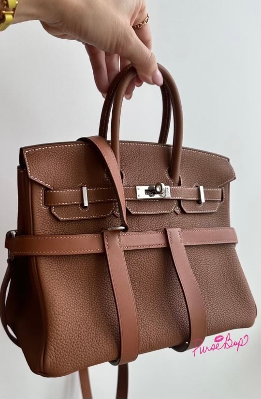 Unique Hermes Harness for sale