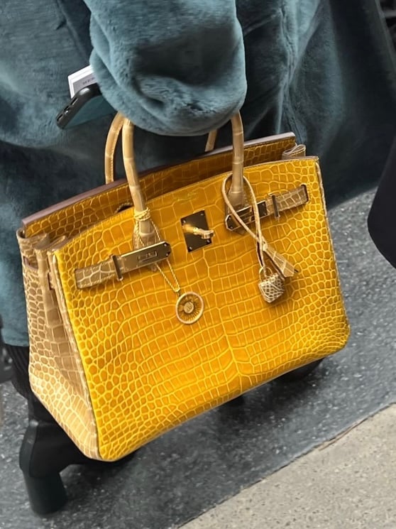 Heart Evangelista's Winter Ootd In Paris Features Hermes Birkin Cargo