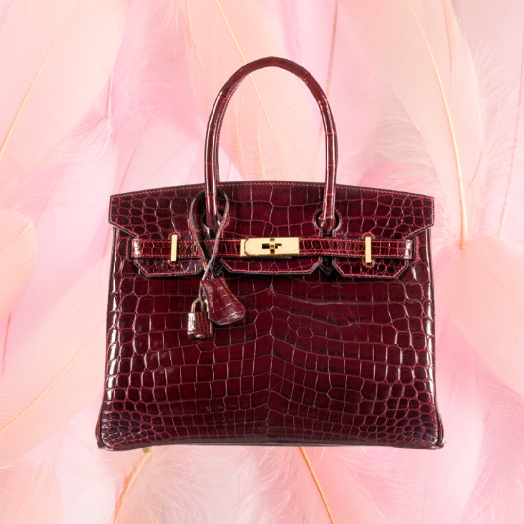 OMG, Move Over Mini Kelly, the Birkin 20 is Here - PurseBop