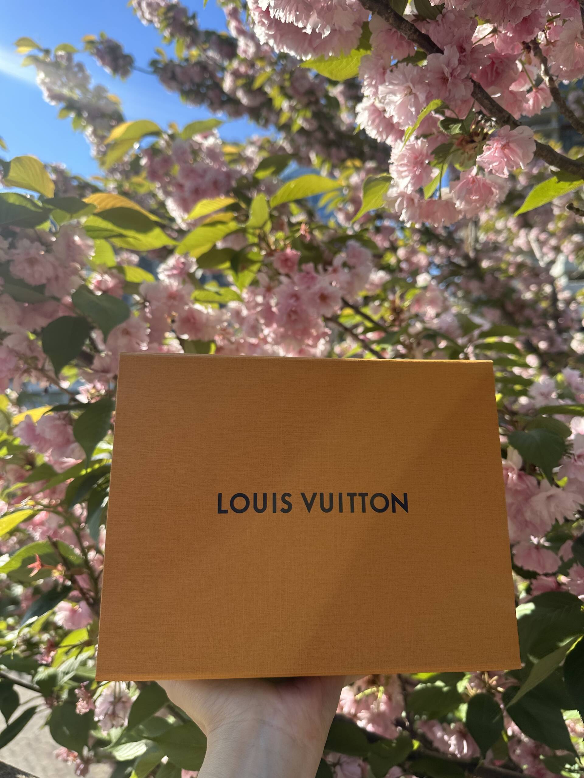 Louis Vuitton Revenue & Growth Statistics (2023) - Legit Check By Ch