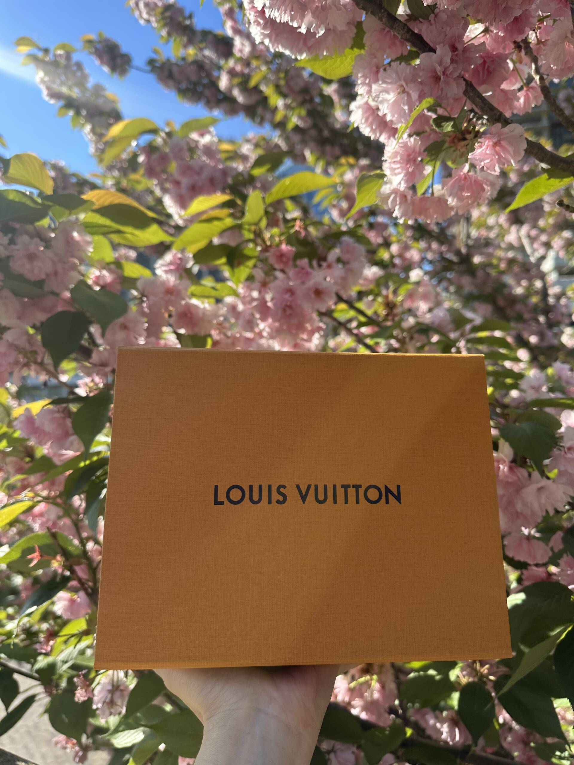 LVMH fashion revenues soar