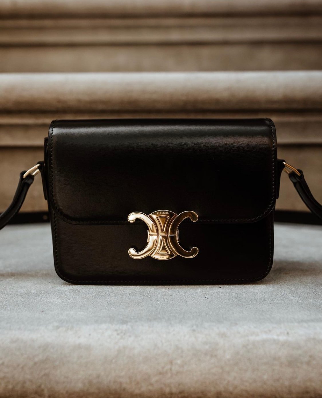 Celine Medium Bucket Bag in Triomphe Canvas and Calfskin: A Timeless  Elegance 