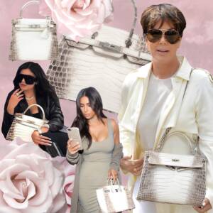 Celebrity Bag: Tamara Ecclestone's Pink Croc Hermes Birkin – The Bag Hag  Diaries