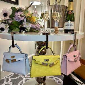 carrie bag holder paris | paris mini kelly 20 | paris hermes fsh