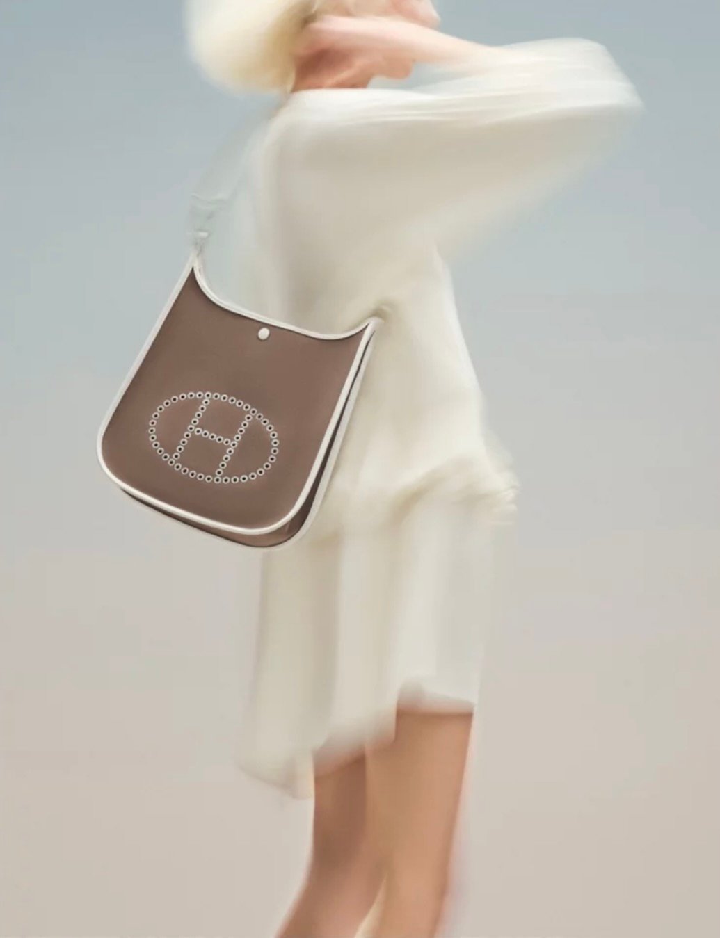 Hermès 101: The Evelyne Bag - PurseBop