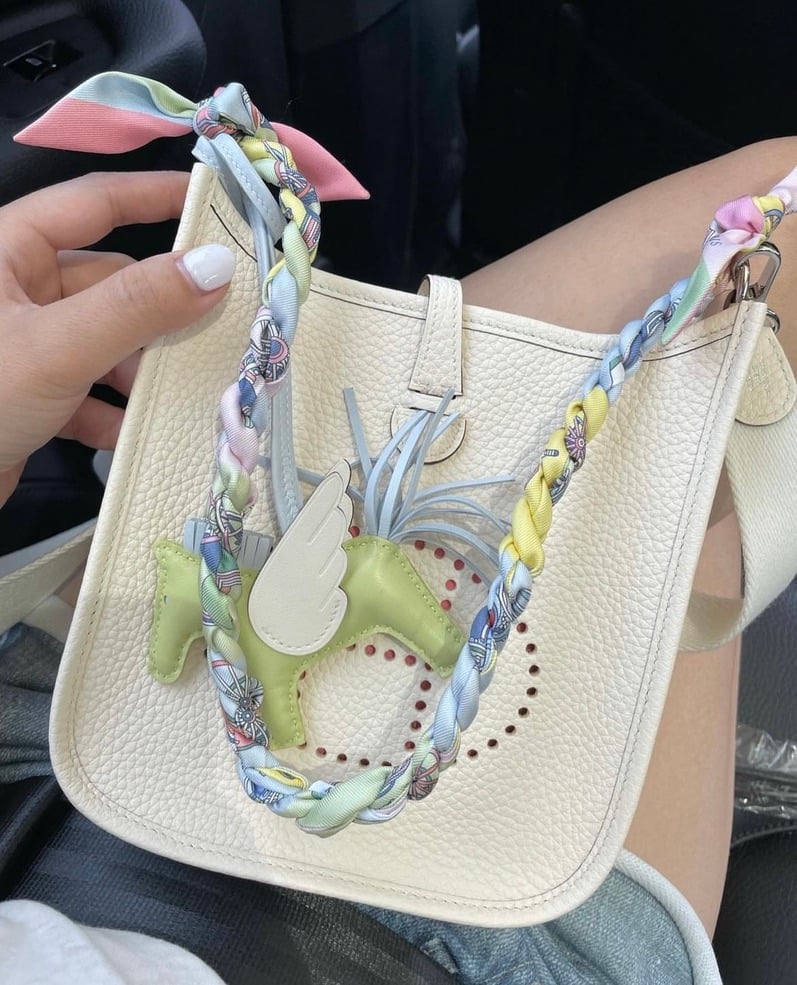 HERMES BAG 101: MINI EVELYNE TPM  *UPDATED* In-depth Review 2023