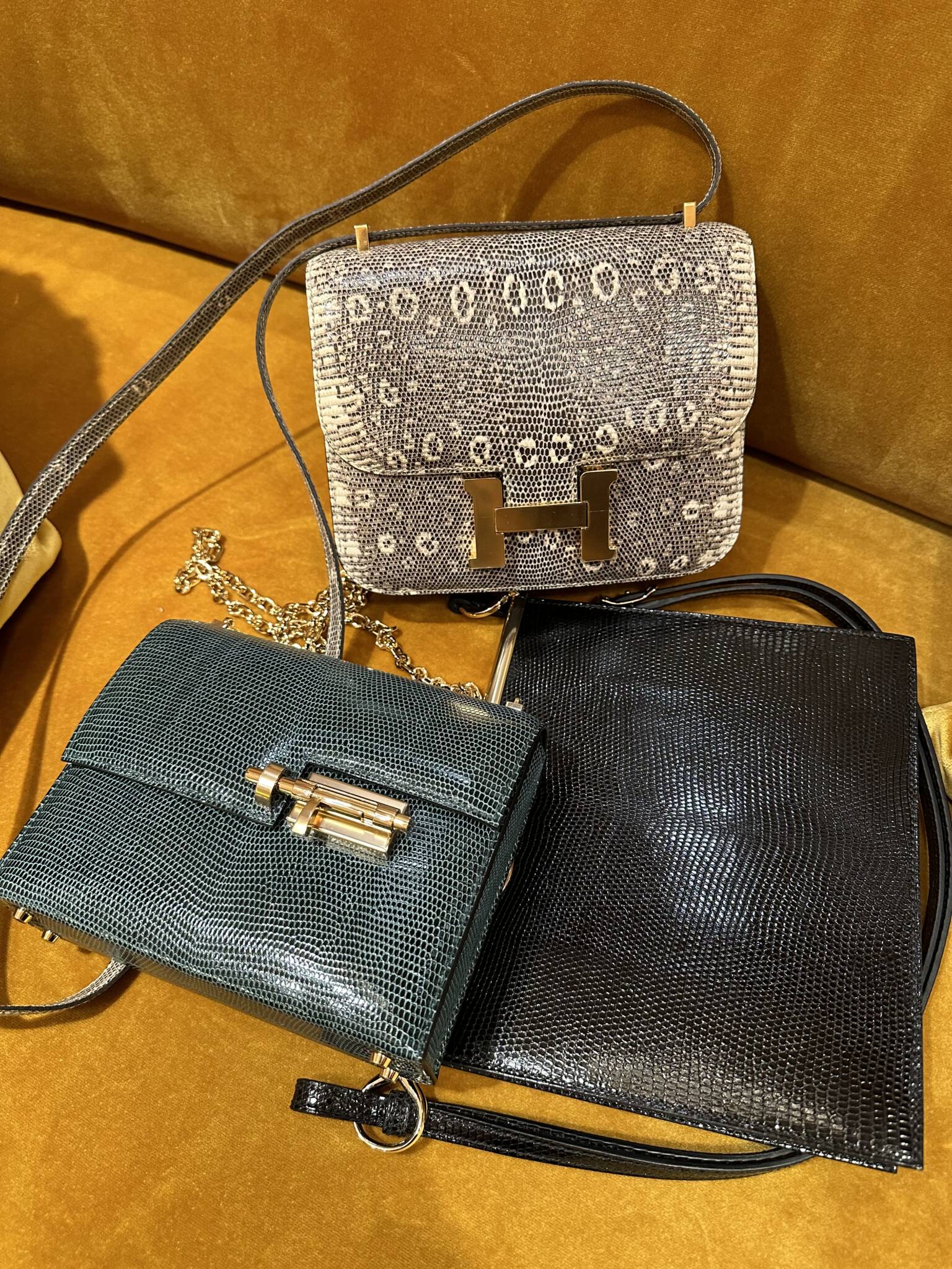 Part II The Hermès Reveal the Mini Mushroom that Made Its Way Home