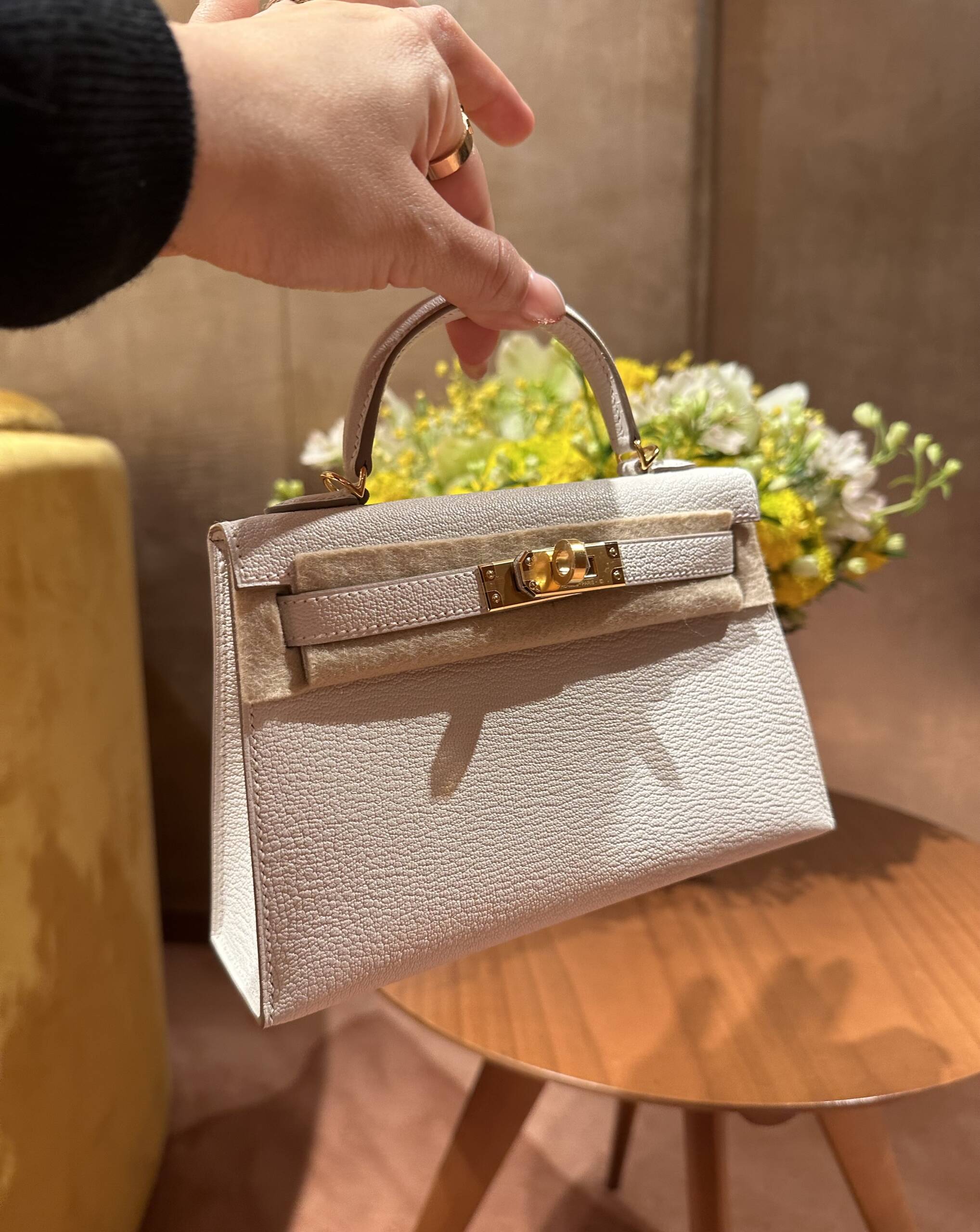 Part II: The Hermès Reveal - the Mini Mushroom that Made Its Way Home From  Paris - PurseBop