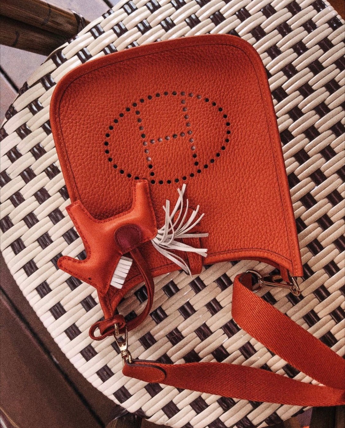 Hermès 101: The Evelyne Bag - PurseBop