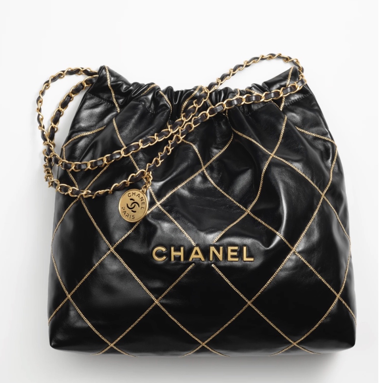 Chanel Pre-Fall/Winter 2023/24 Handbags Are Here - PurseBop