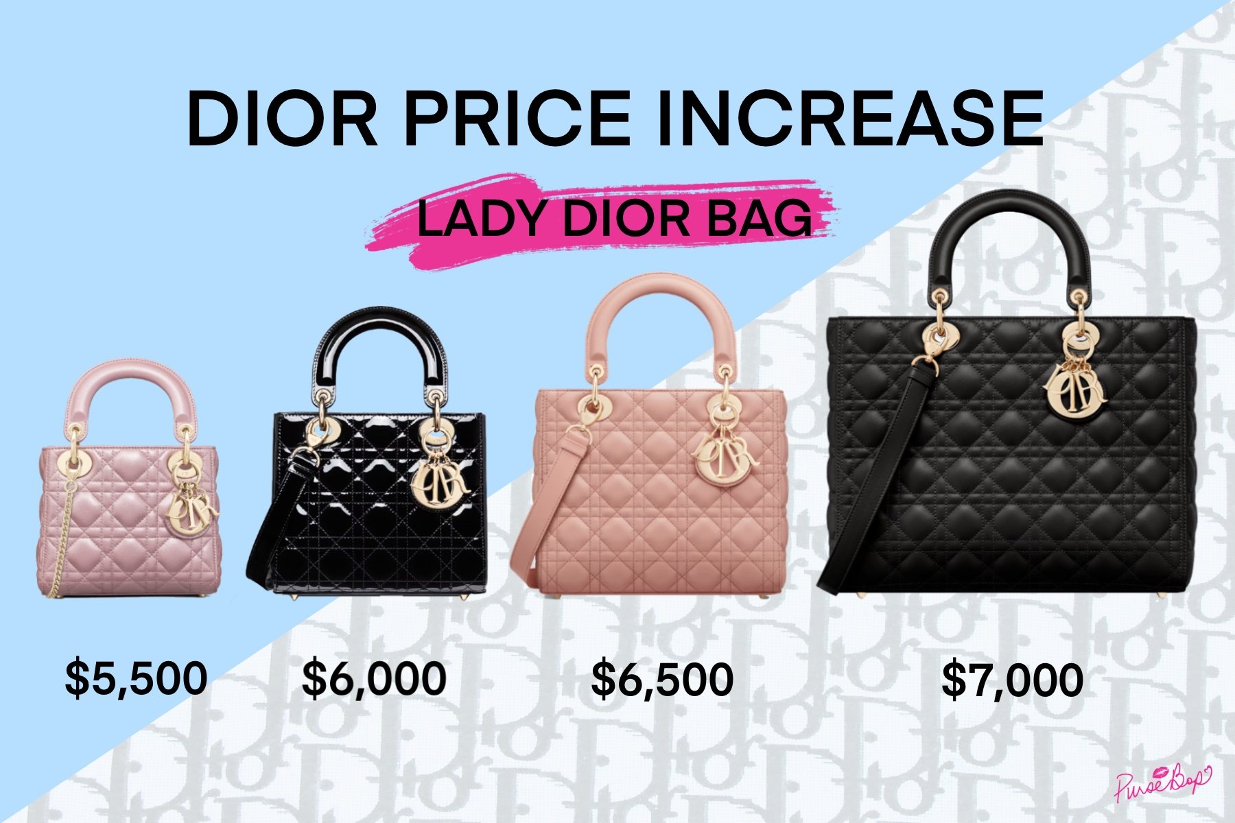 Dior's Global 2023 Price Hike is Here | PurseBop