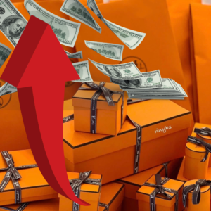 hermes financials 2023 | hermes stock | birkin profits | how to buy a birkin | hermes profits 2023 | hermes q3 2023