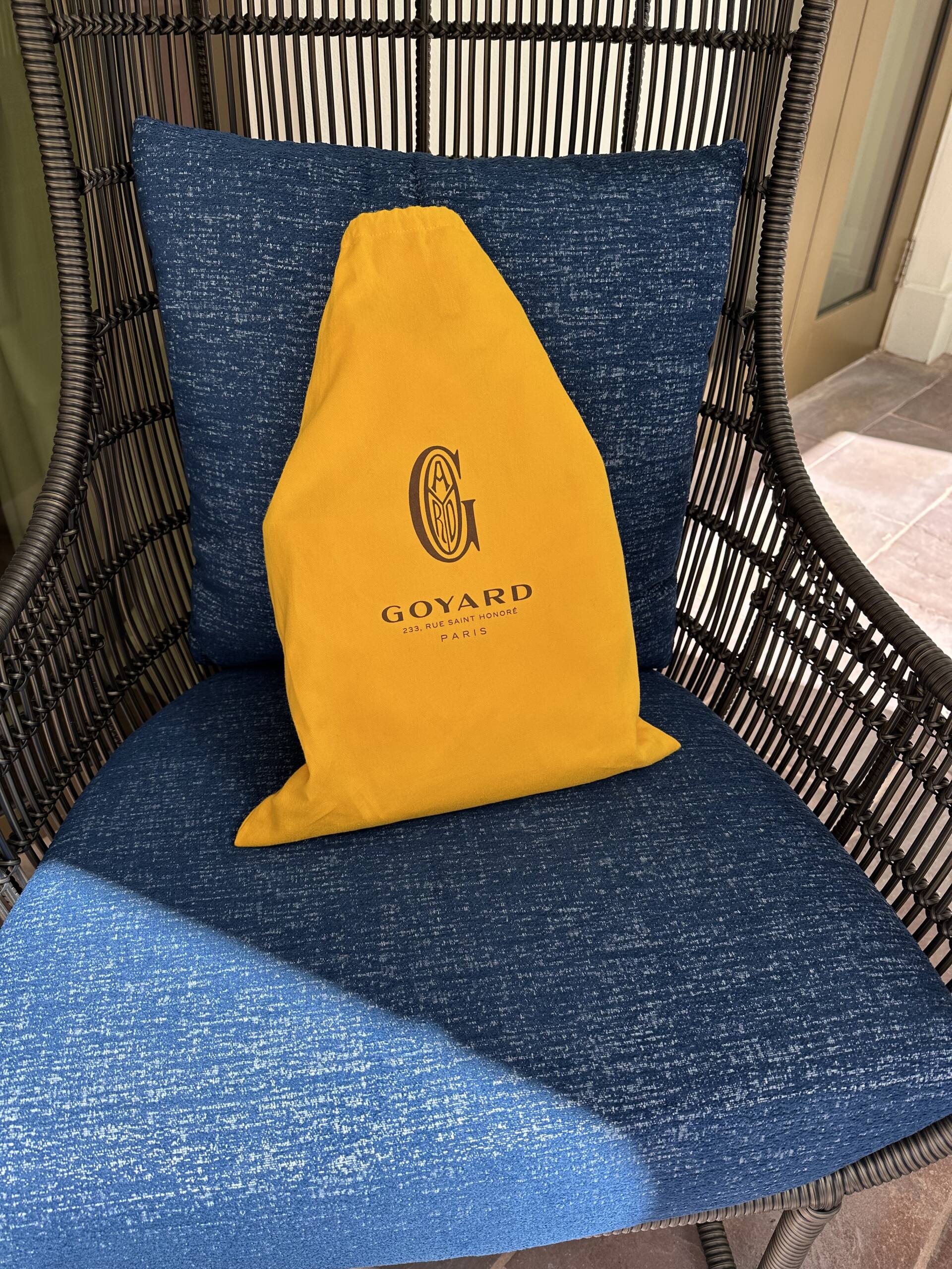 Goyard Mini Anjou Review - PurseBop