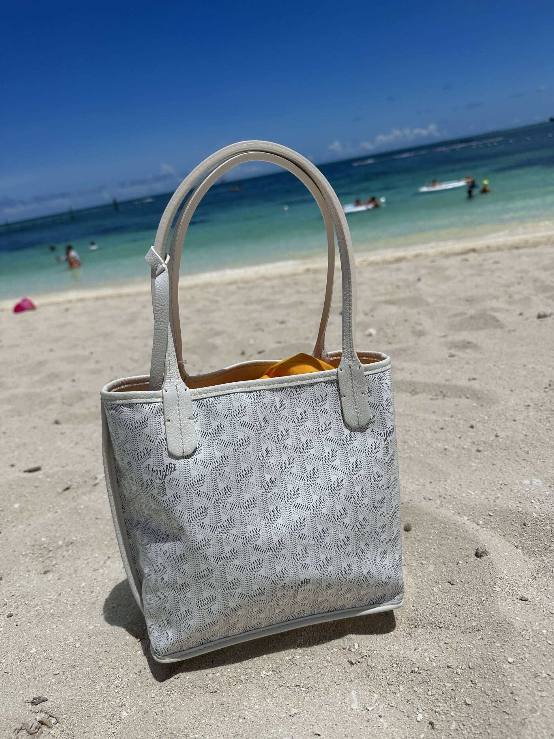 Spotlight on the Goyard Mini Anjou Tote - PurseBop