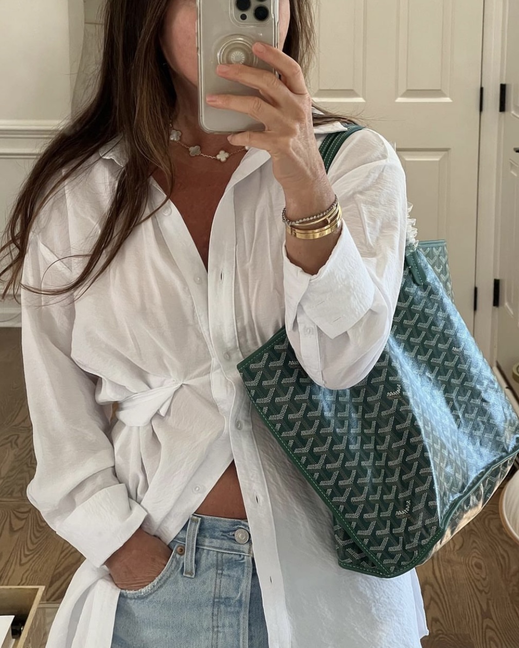 Spotlight on the Goyard Mini Anjou Tote - PurseBop