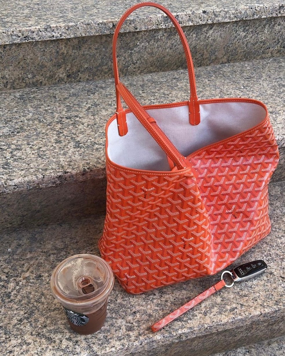 Goyard Fadou Anjou Mini Bag Size 20 x 20 x 10 cm - dodotop.ru in 2023