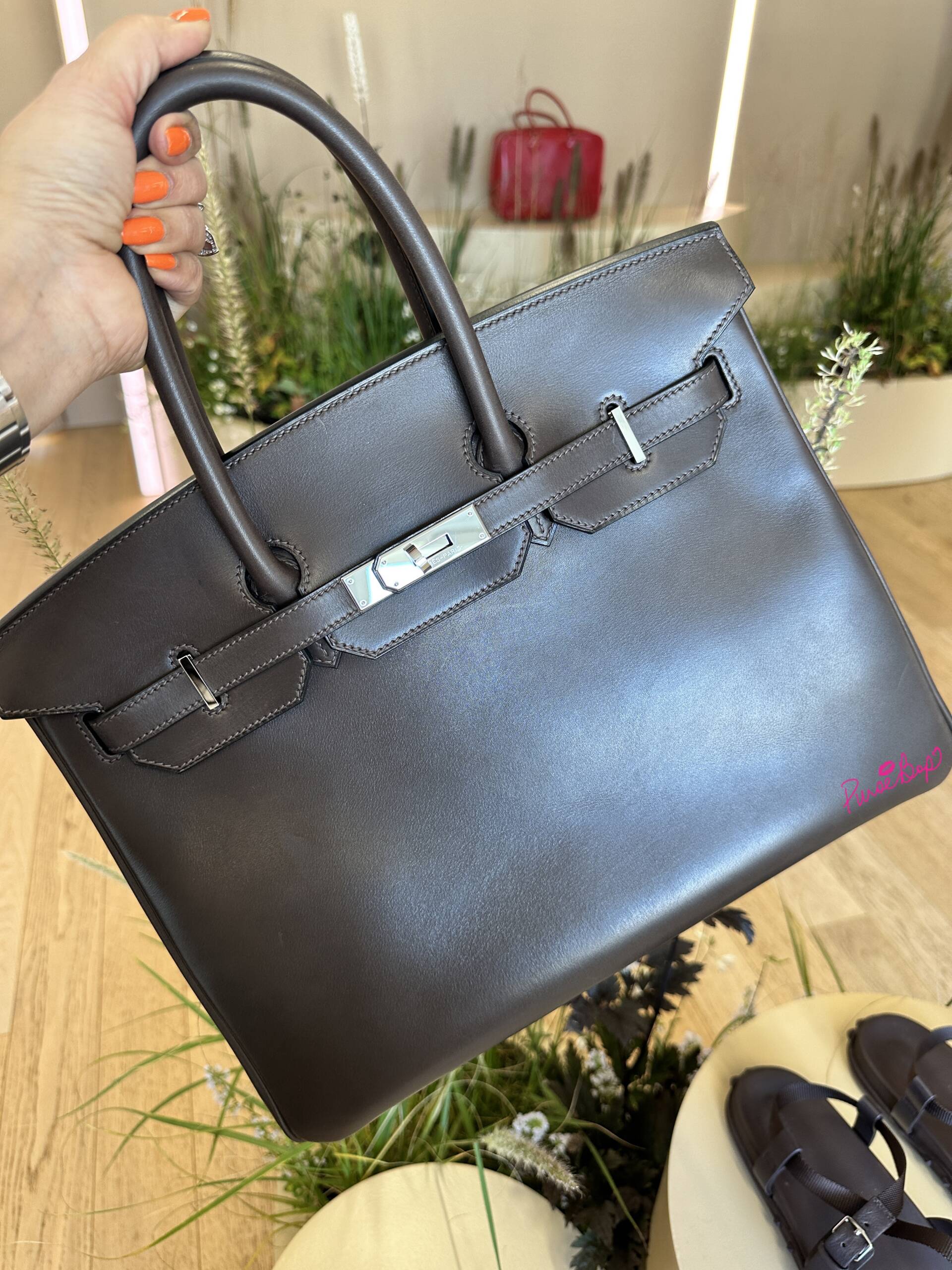 OMG, Move Over Mini Kelly, the Birkin 20 is Here - PurseBop