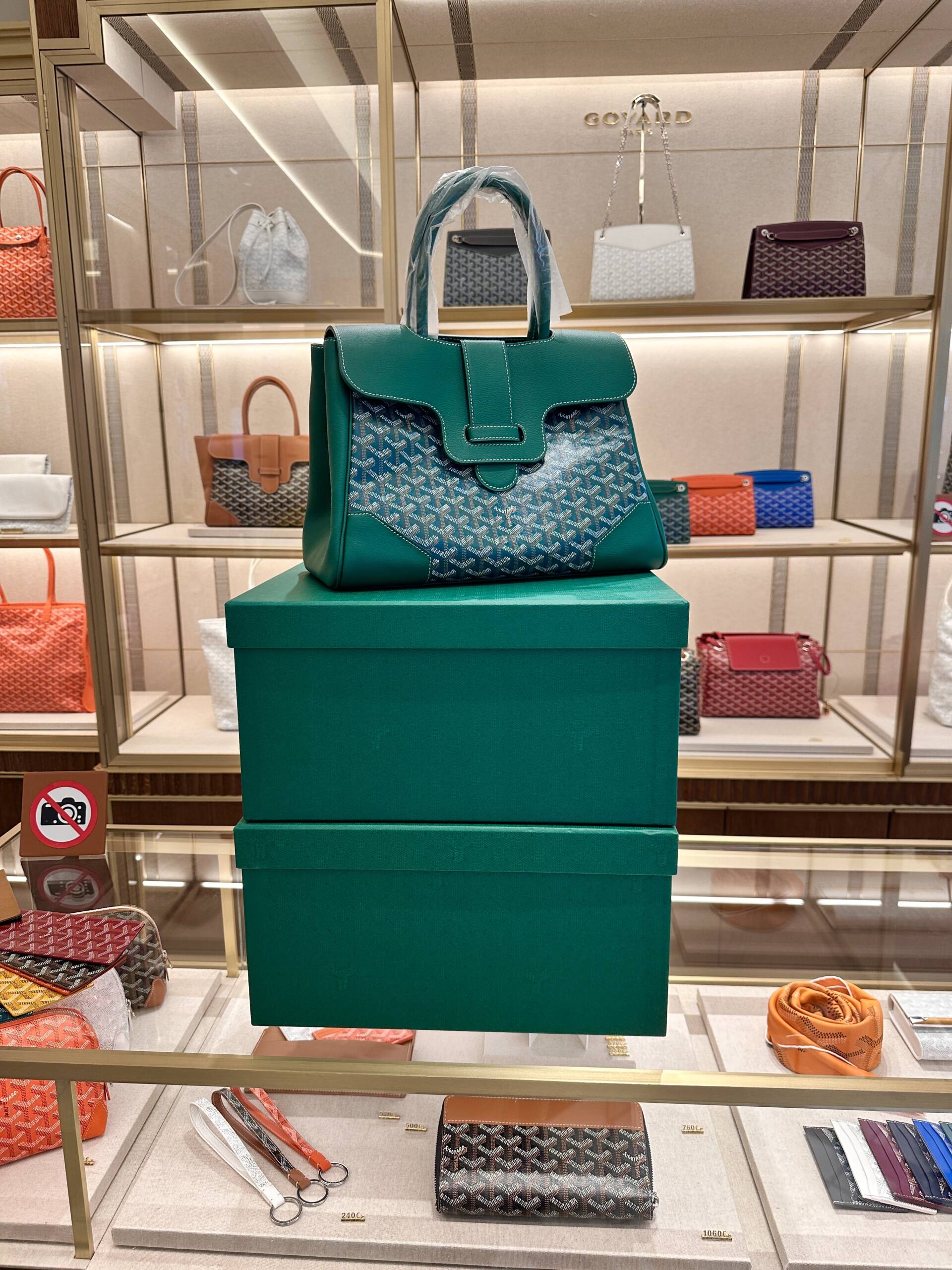 Goyard Saigon tote in green. 