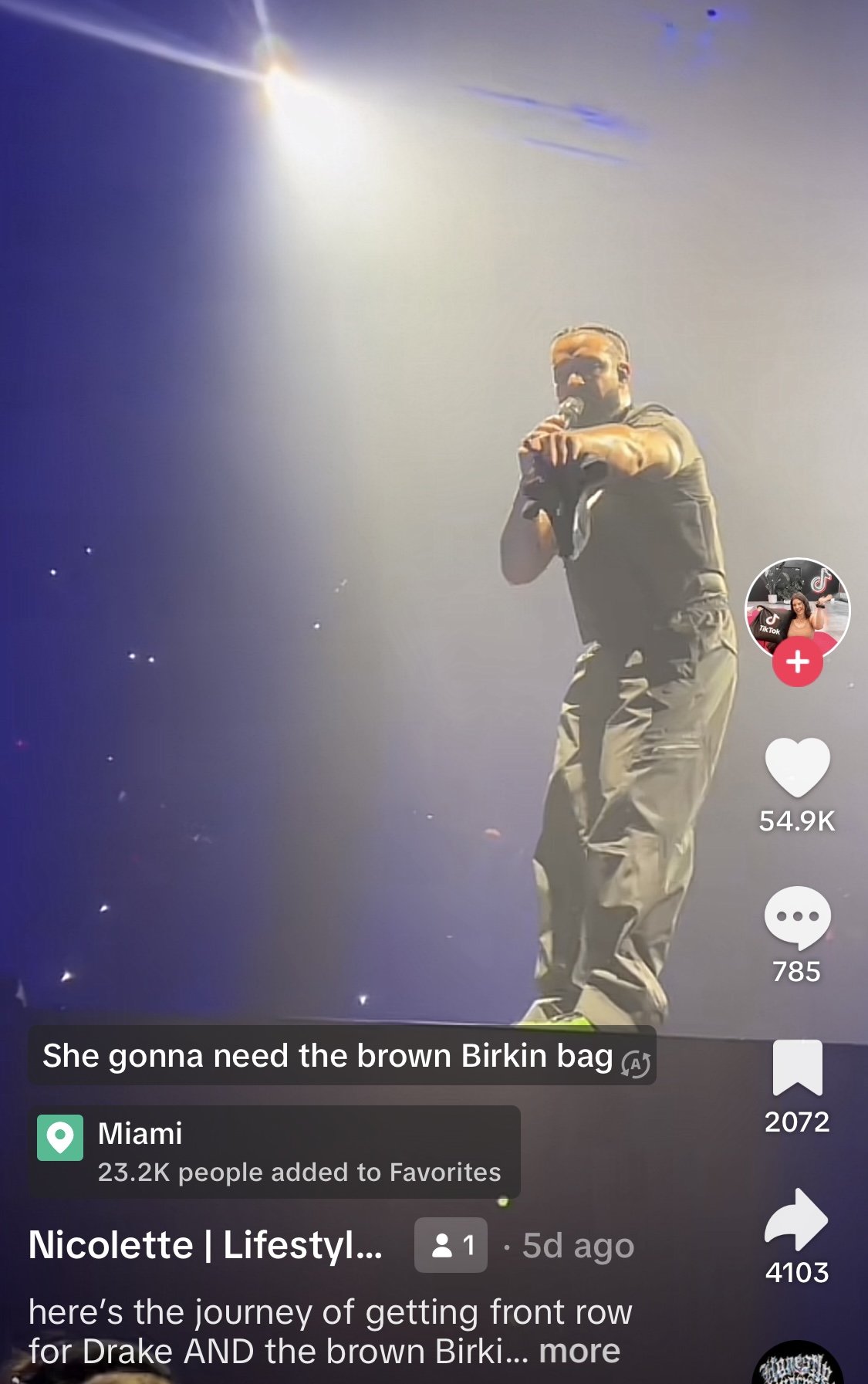 Drake Gifts Fan Pink Birkin Bag During L.A. Concert