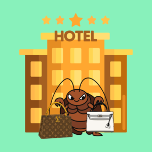 handbags and bedbugs