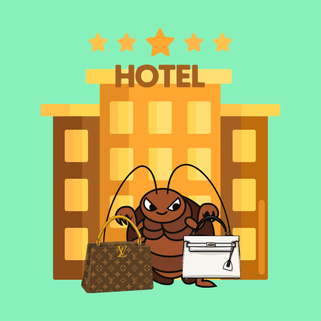 Bed Bug Barbeque on X: Bed Bugs glue their eggs to furniture, purses,  backpacks, luggage, computer bags, clothing, & shoes. #bedbugfacts #bedbug  #asktheexpert  / X