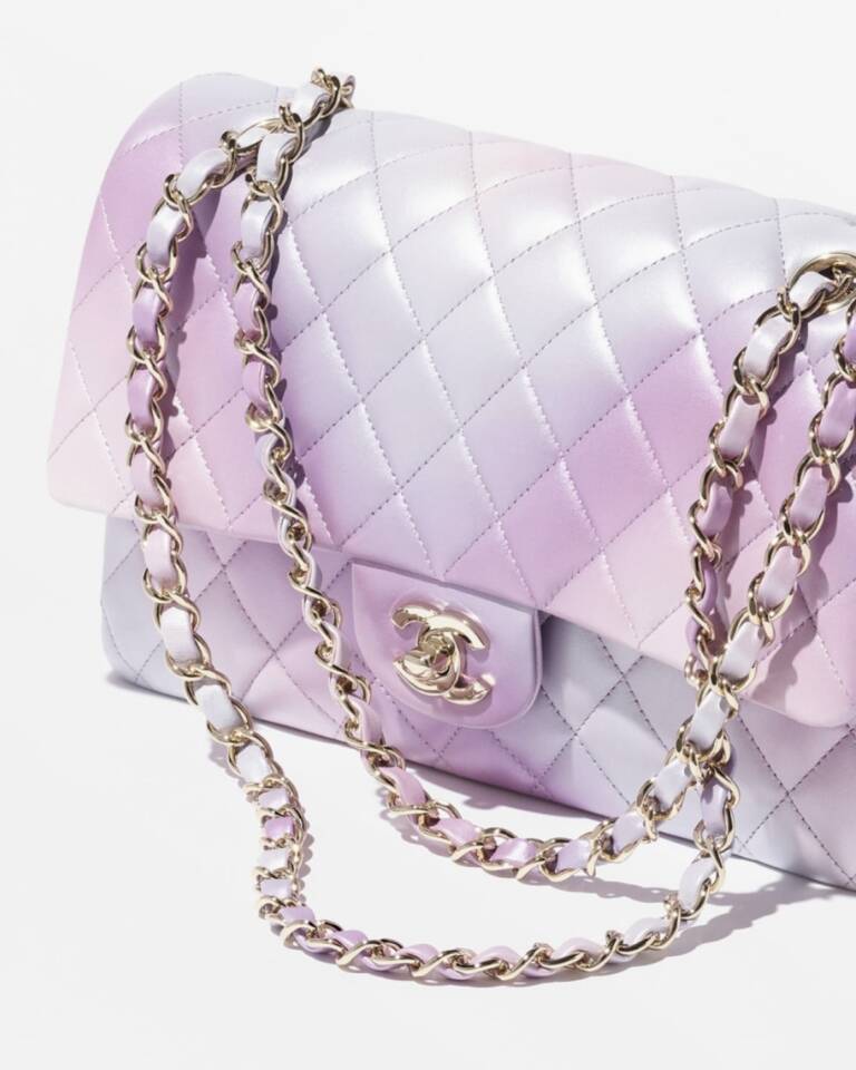 Chanel Spring-Summer 2024 (24P) Bags are Here - PurseBop
