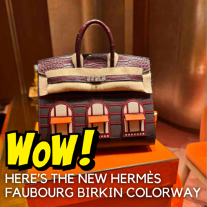 faubourg birkin | birkin 20 | new faubourg birkin | fabubourg birkin red | new hermes bag | rare hermes bag | rouge sellier faubourg birkin