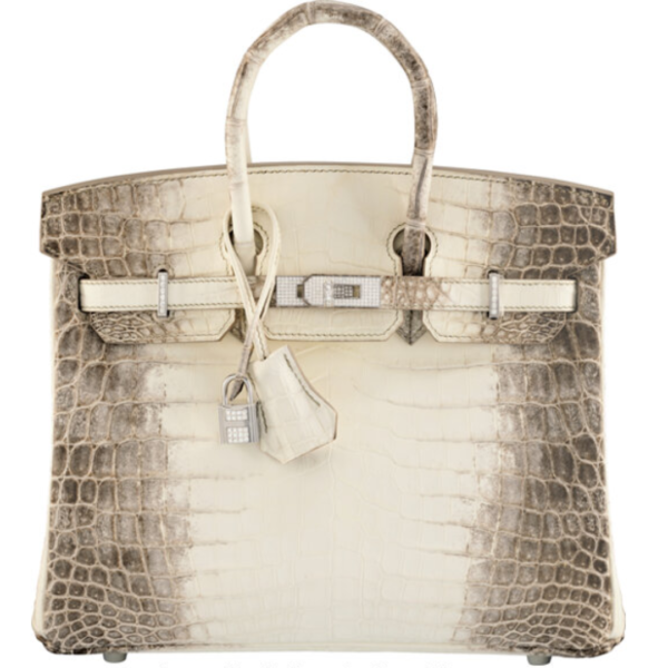 Kylie Jenner s Birthday Birkin Bonanza Featuring Rare Hermes Handbags PurseBop