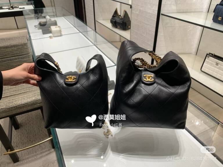 Chanel Spring-Summer 2025 Pre-Collection (25P) Bags Have Arrived - PurseBop