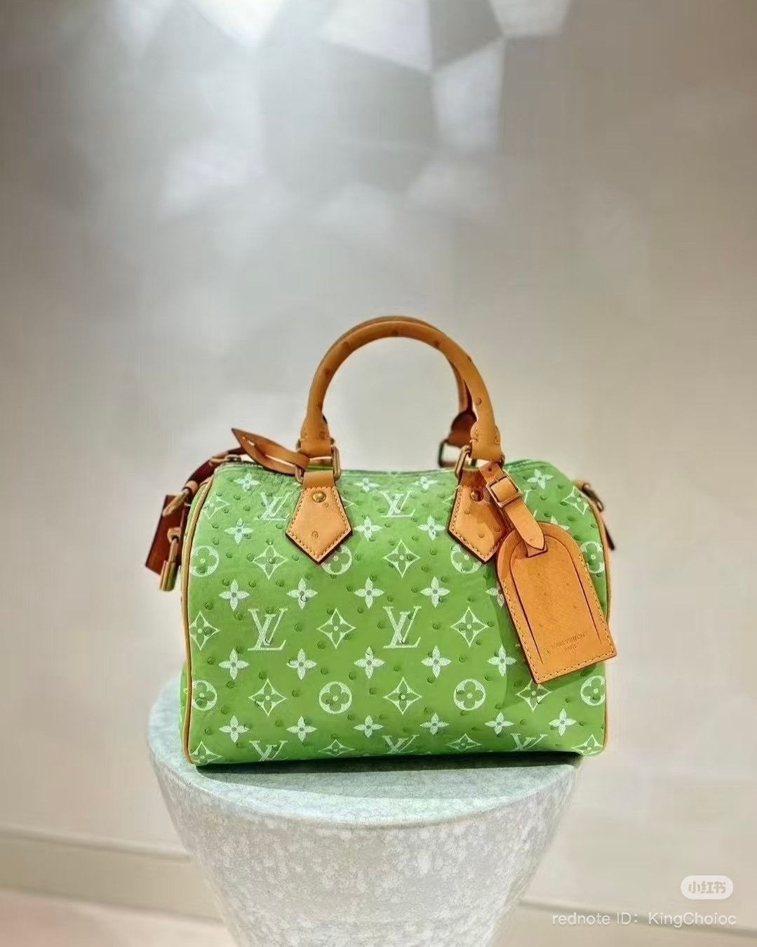 Louis Vuitton - Speedy P9 25 ostrich